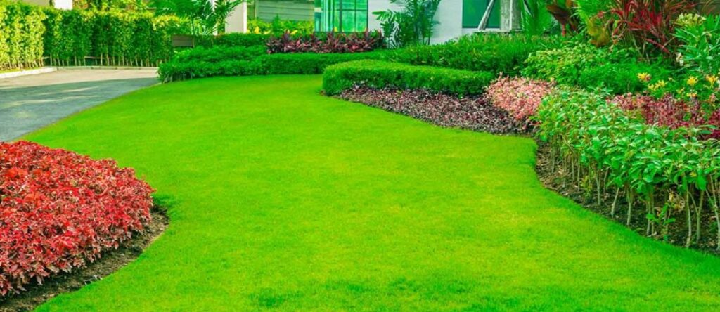 Landscaping-Companies-in-Abu-Dhabi-SSS