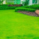 Landscaping-Companies-in-Abu-Dhabi-SSS