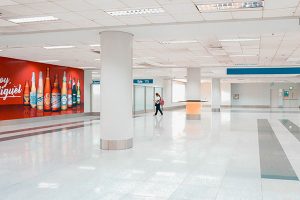 Wall Murals in Grand Rapids