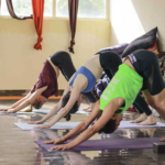 Best Yoga Teacher Training in Goa