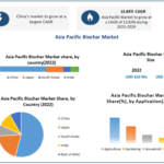 Asia Pacific Biochar Market