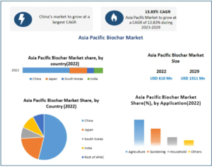 Asia Pacific Biochar Market