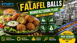 Falafel Balls Manufacturing Plant