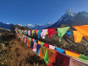 Mardi Himal Trek 5