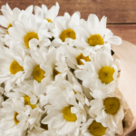 White Flowers for Funeral