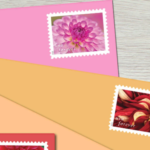 stamp collecting supplies