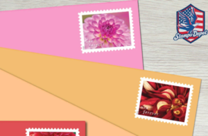 stamp collecting supplies