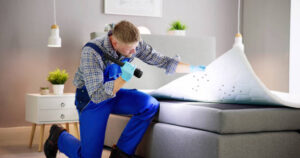 Bed bug exterminator in London On: Protecting Your Home with Professional Solutions