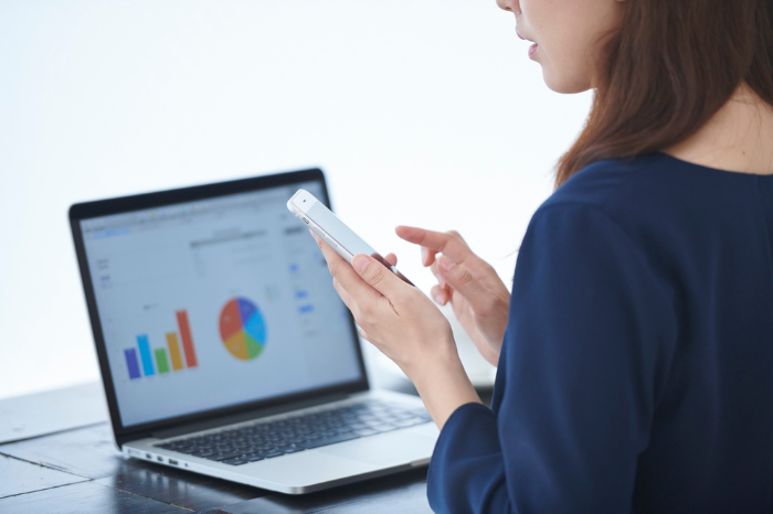 Website Audit Tool