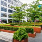 commercial landscaping services