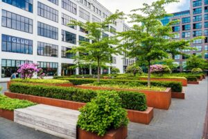 commercial landscaping services