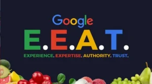 Google AI Overview vs SEO Canada: Why E-E-A-T Matters in 2026