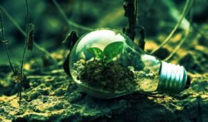 images (13)