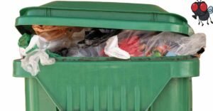 5f5f789dadacbf065e5625ae_Trash-bin-fly