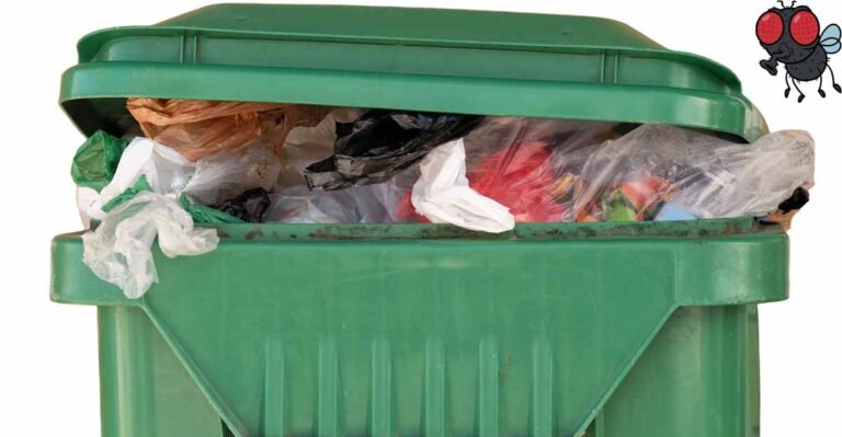 5f5f789dadacbf065e5625ae_Trash-bin-fly