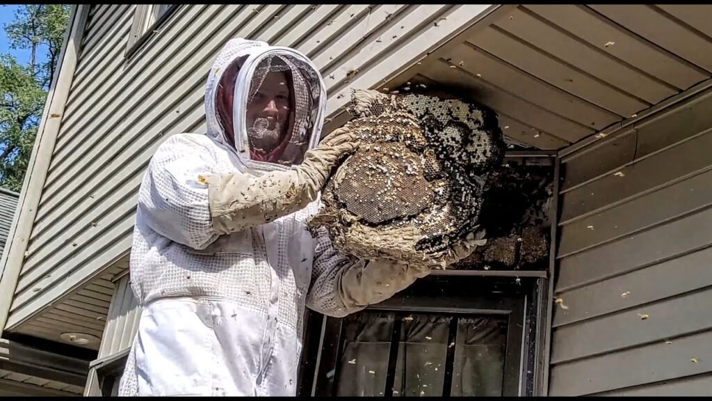 The Importance of Early Detection for Bee Infestations