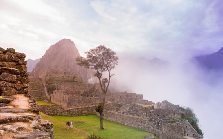 inca trail cusco to machu picchu