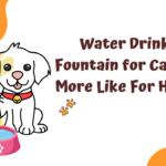 Water Drinking Fountain for Cats