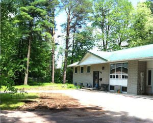arborist barrie