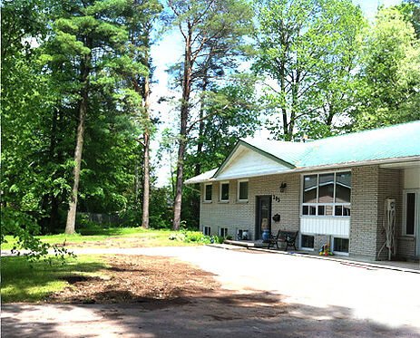 arborist barrie
