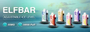 Elfbar India