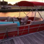 Pontoon Boat