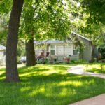 arborist barrie