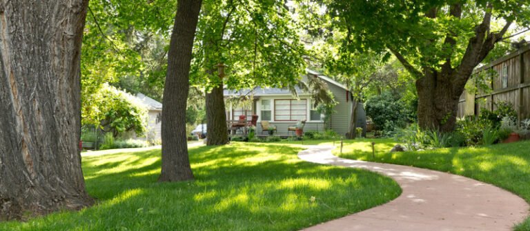 arborist barrie