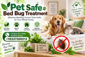 Bed Bug Treatment