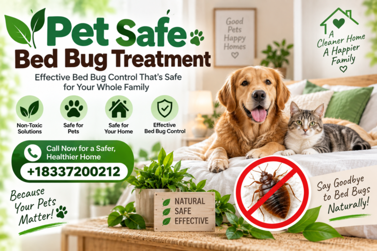 Bed Bug Treatment