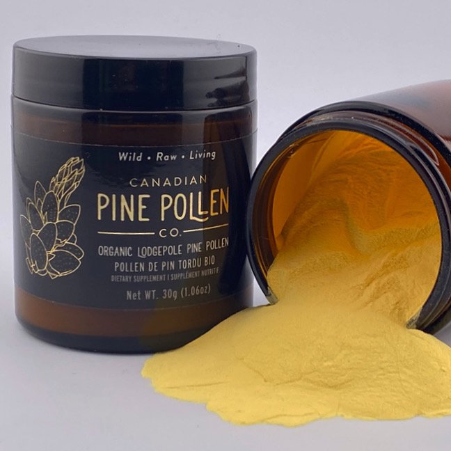 pine pollen powder extract