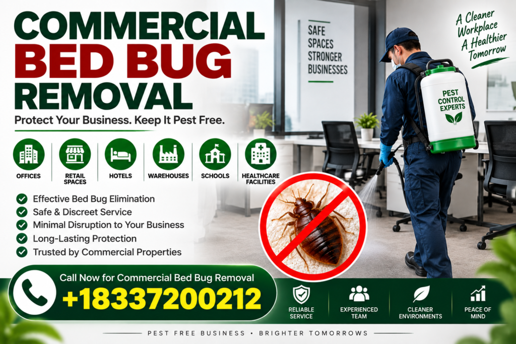 Bed Bug Removal