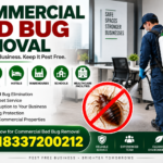 Bed Bug Removal