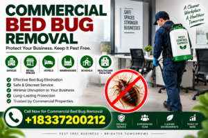 Bed Bug Removal