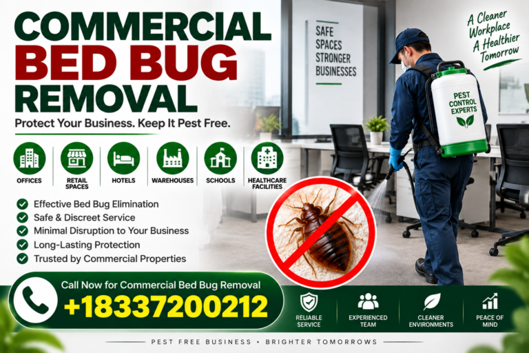 Bed Bug Removal
