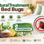 Bed Bugs