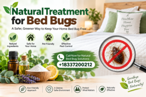 Bed Bugs