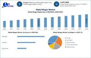 Global-Biogas-Market-1
