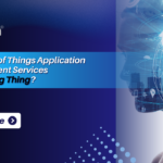 Is Internet of Things Application Development Services the Next Big Thing