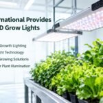 LED Grow Lights for Plants