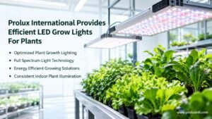 LED Grow Lights for Plants
