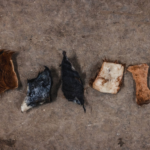 beef rawhide