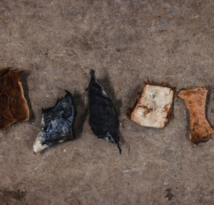 beef rawhide