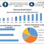 Maternal-Health-Market-Snapshot