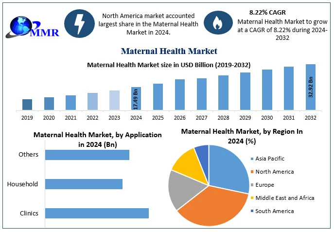 Maternal-Health-Market-Snapshot