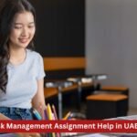 risk management assignment help uae
