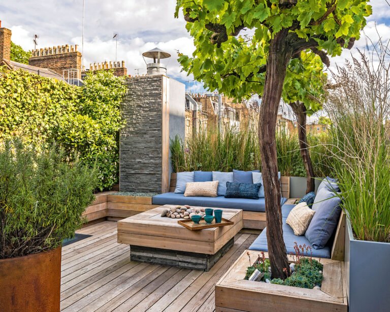 backyard design Colleyville TX