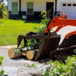 Emergency Tree Cutting