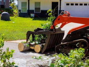 Emergency Tree Cutting