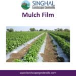 Mulch Film